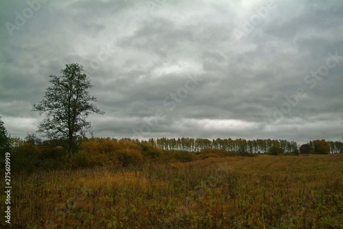 cloudy autumn evening in the countryside, Russia