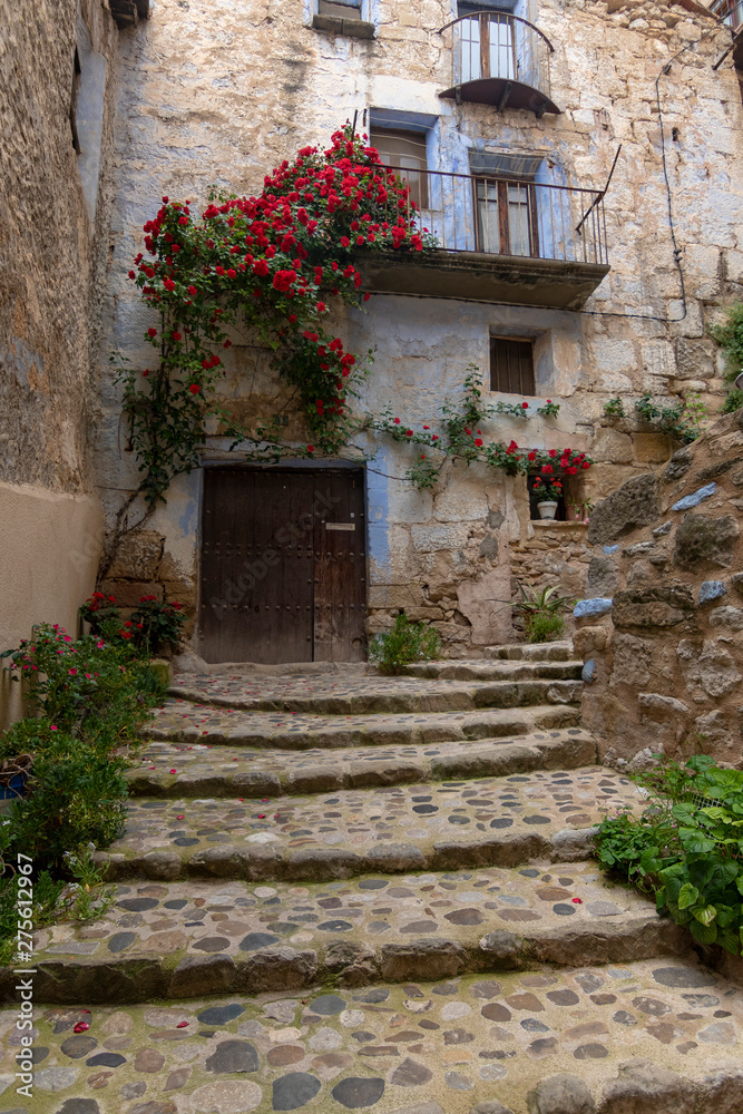 door in old house - Valderrobres (Teruel) door in old house - Valderrobres (Teruel)