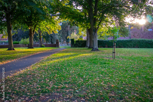 Park in Goring, England