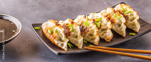 gyoza or dumplings snack with soy sauce photo