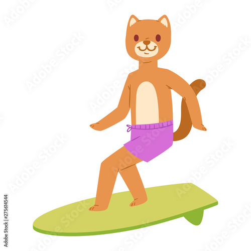 Surf vector cat animal surfer character surfing on surfboard illustration animalistic cartoon young sportsman kitty girl and on wakeboard isolated on white background