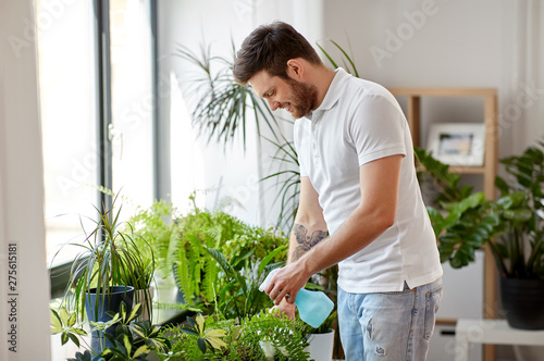 people, nature and plants care concept - man spraying houseplants by water sprayer at home