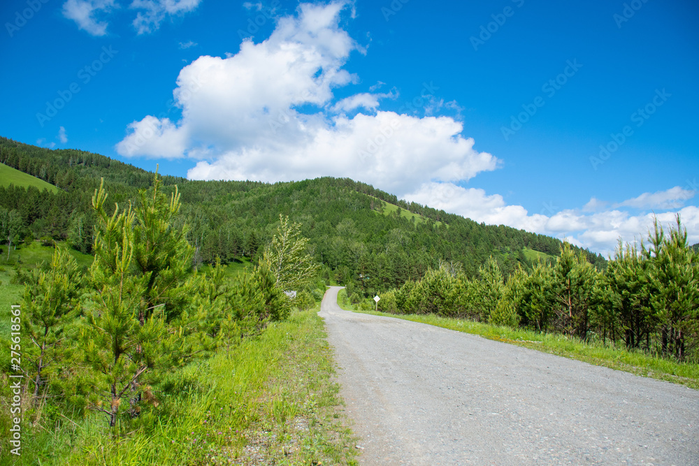 Fototapeta premium road in the mountains
