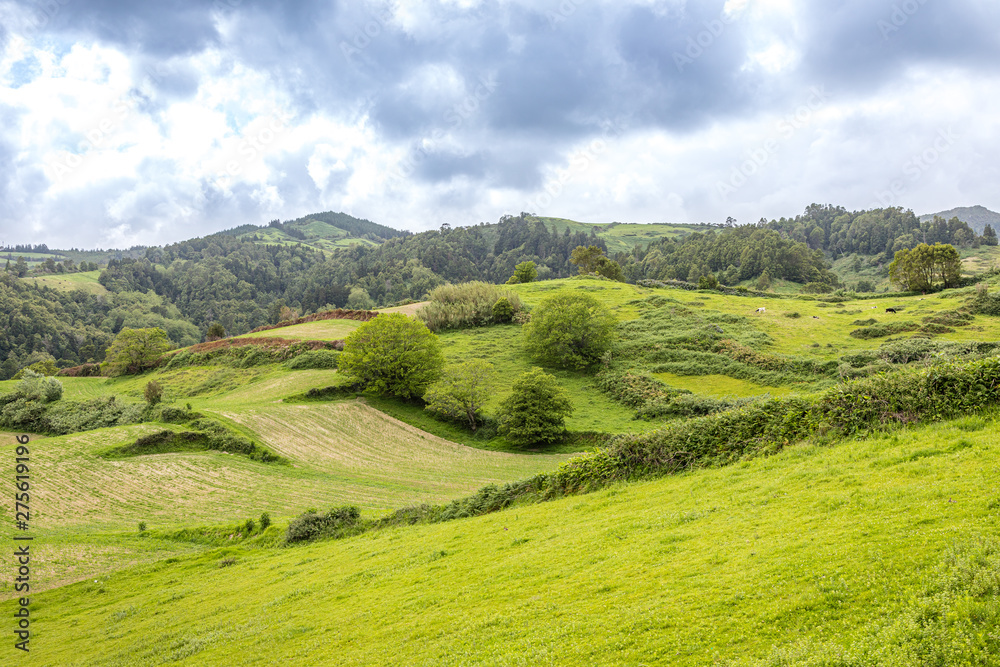 Landscape in the south of Sao Miguel island, Azores