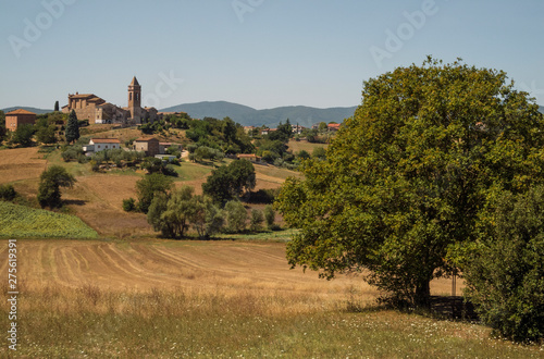 Wallpaper Mural typical landscape of central Italy. . Torontodigital.ca