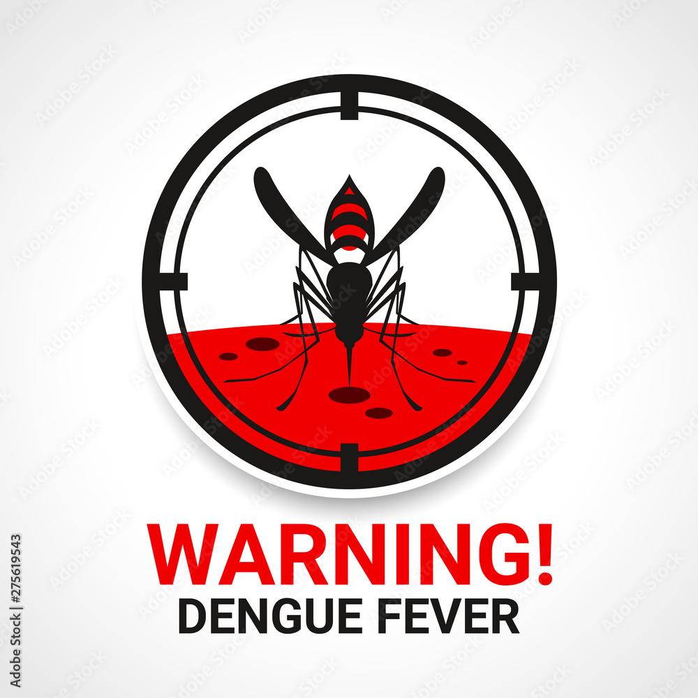 Warning dengue fever sign with mosquitos Drinking blood in circle focus