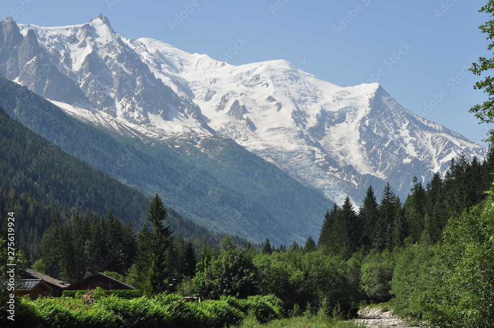 Obraz premium glacier et montagne vus depuis la vallée en été