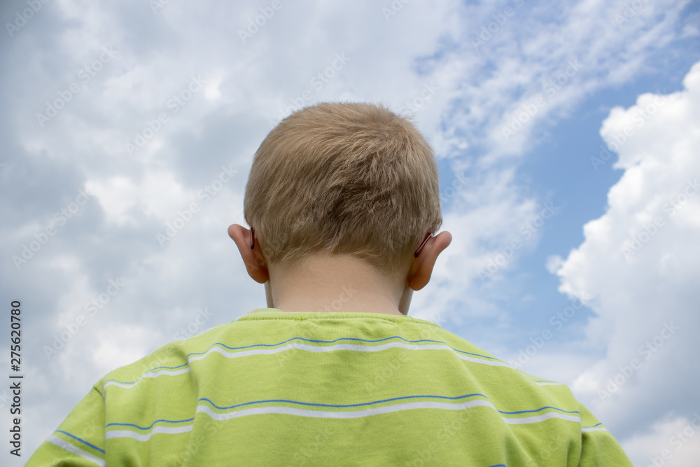 boy back on the background of the sky,boy looked at the sky in the fall view of the back boy back on the background of the sky,boy looked at the sky in the fall view of the back