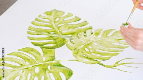 Female hand drawing green monstera plant with brush, watercolor paints