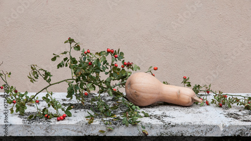 Wallpaper Mural composition of red berries and pumpkin Torontodigital.ca