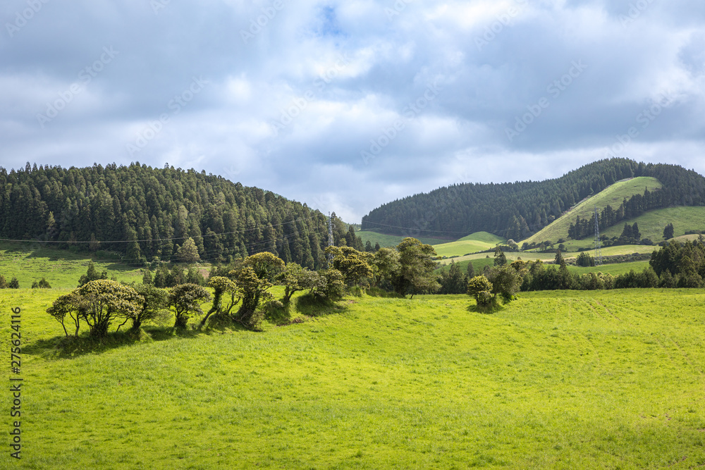 Meadows and pastures in the mountains of Sao Miguel island, Azores