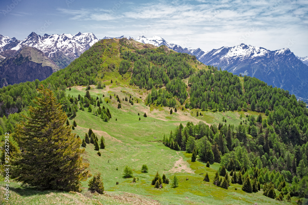 Panoramic view of flowering meadows and woods in the Swiss mountains in spring.