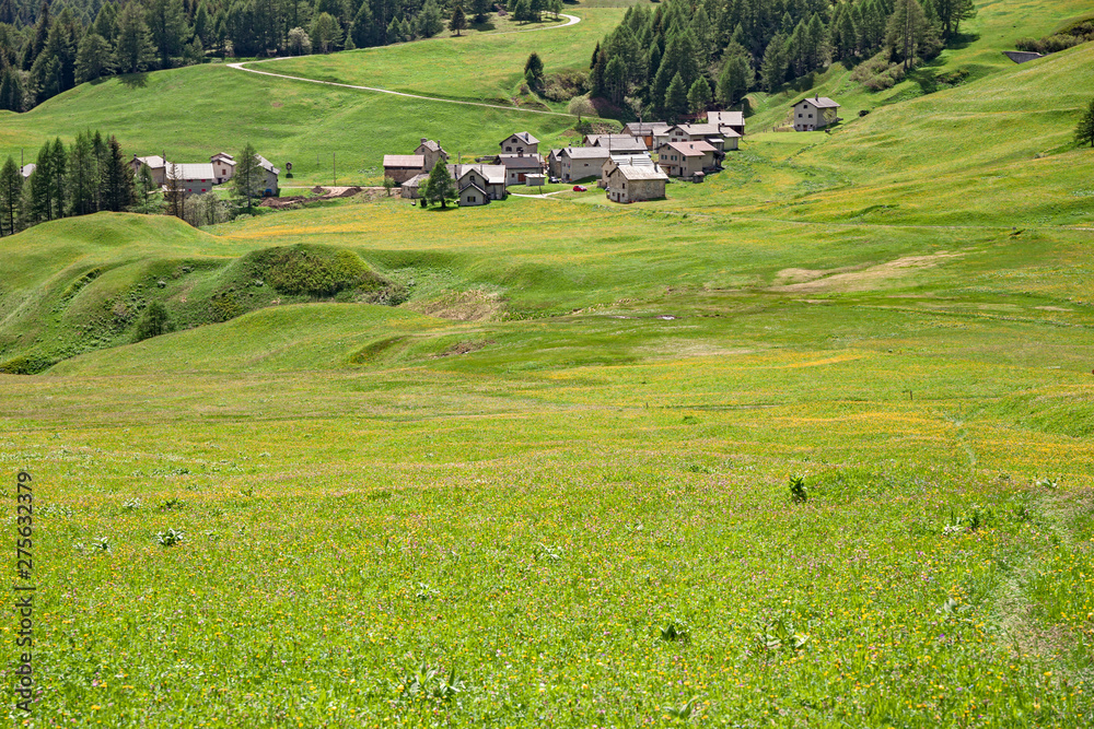Panoramic view of flowering meadows and the Alpine village of Anvéuda in Switzerland, in spring.