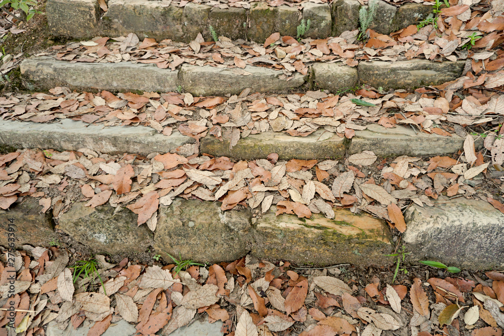 Stone steps with dry leaves Stone steps with dry leaves