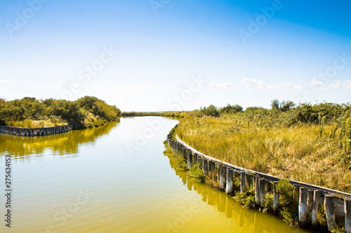 The Comacchio valleys  (Italy) are known worldwide for eel fishi photo