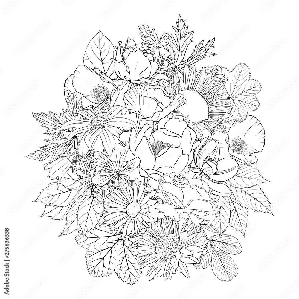 Fototapeta premium vector drawing flowers