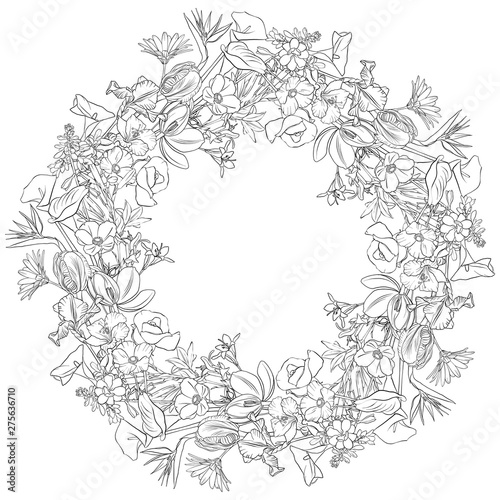 Wallpaper Mural vector drawing flowers Torontodigital.ca