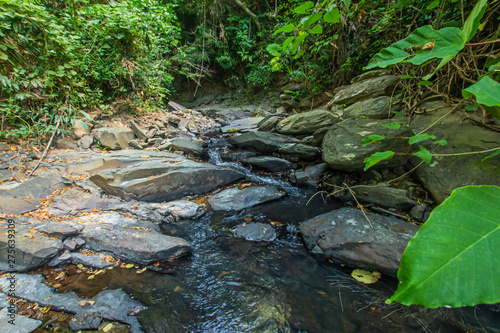 Ton Aow Yon Waterfall rich natural resources in the forest asia tropical areaat Island Phuket Thailand.