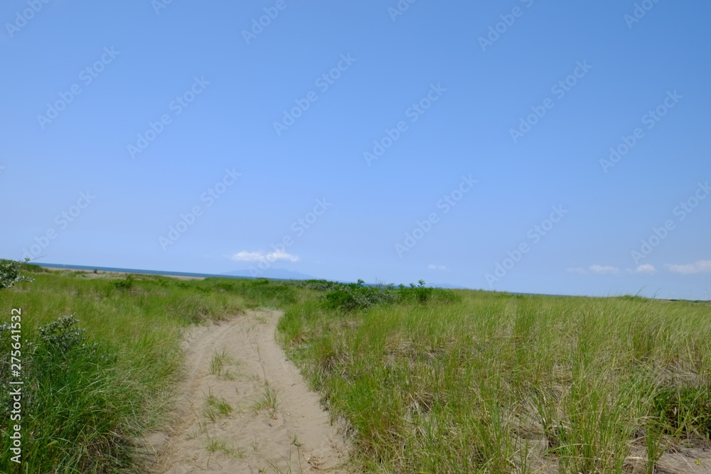 Obraz premium 海へ