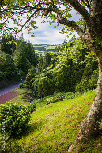 Fototapeta Naklejka Na Ścianę i Meble -  Landscape around Lake Furnas, Sao Miguel island, Azores