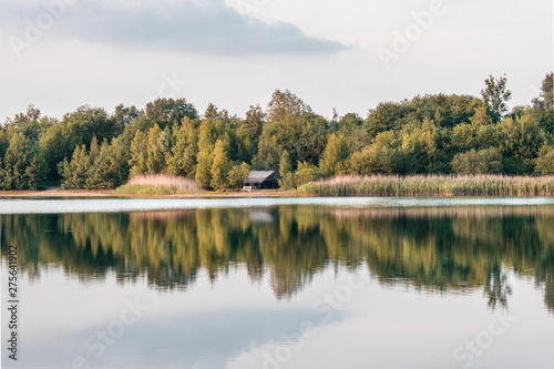 lake in forest