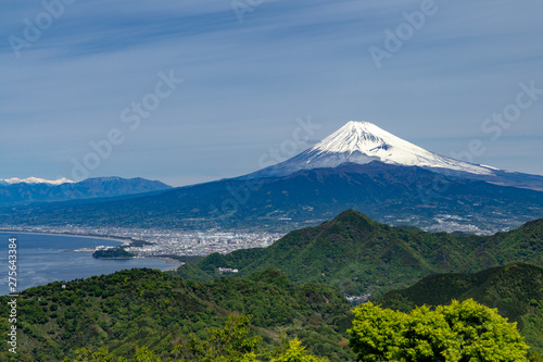 Fototapeta Naklejka Na Ścianę i Meble -  沼津と富士山