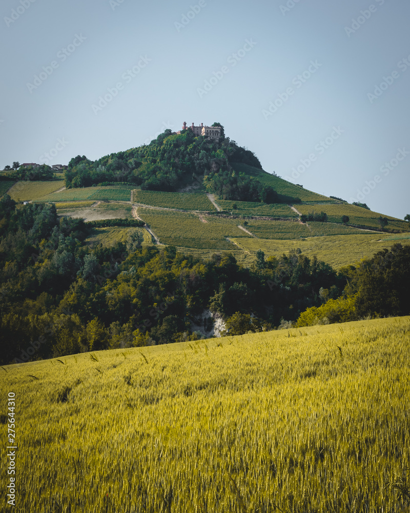 Italian vineyard landscape in the north of italy with a castle on the hill