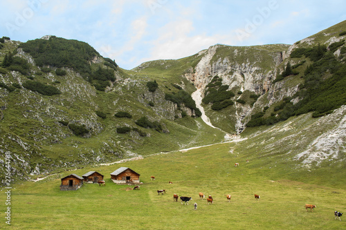 Alto Adige, Val Pusteria, Tirolo