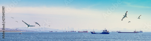 Marine navigation and sea traffic at the Bosphorus Strait. Wide panorama of Istanbul with silhouettes of freight ships and fishing vessels on a skyline.