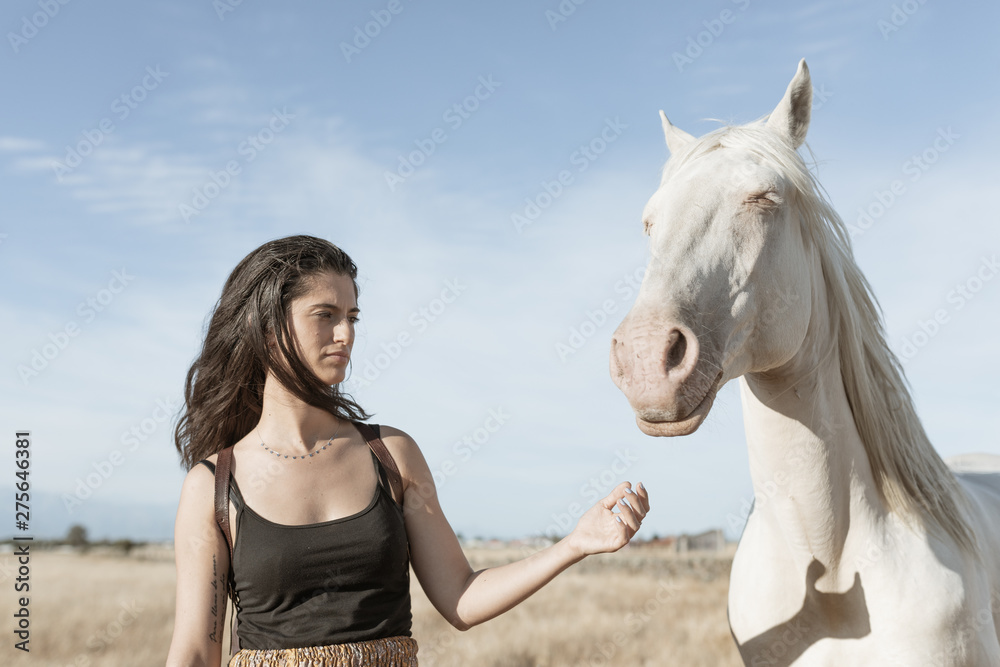 Fototapeta premium girl with a white horse in the field