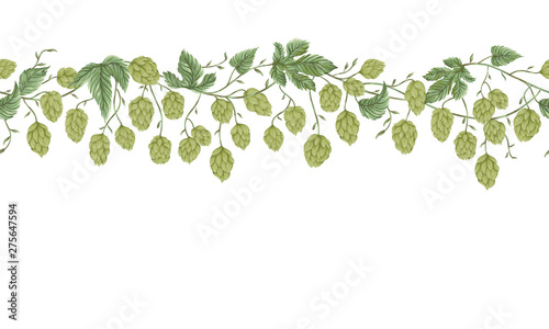 Seamless border with hops. Floral composition with hop cones, leaves and branches. Isolated elements. Vintage hand drawn illustration in watercolor style.