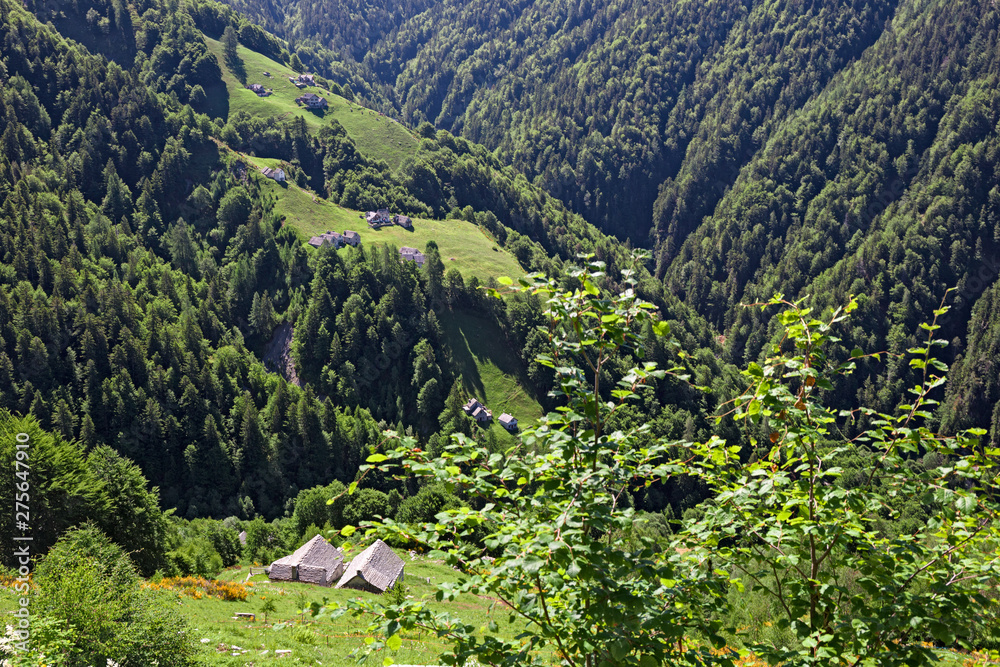 Panoramic view of some mountain pastures in the upper Vigezzo valley, in Piedmont Italy.