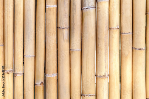 Background of dried twigs of bamboo