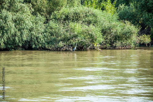 Fototapeta Naklejka Na Ścianę i Meble -  The Danube Delta