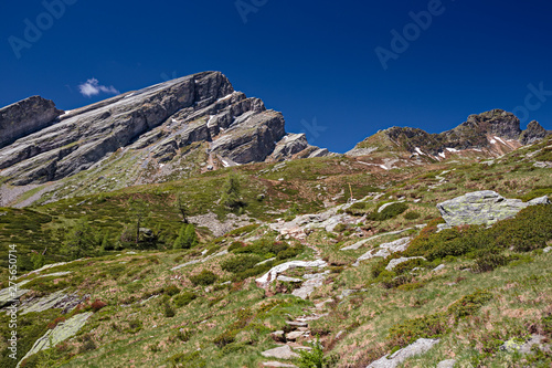 Panoramic view of the Pioda di Crana rock plaques, among high altitude conifer woods.