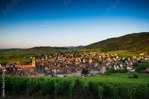 Village and vineyards at sunrise, Riquewihr, Alsace, France, Europe photo