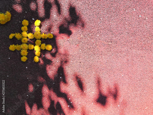 hashtag of dandelions, concept web trend networ
