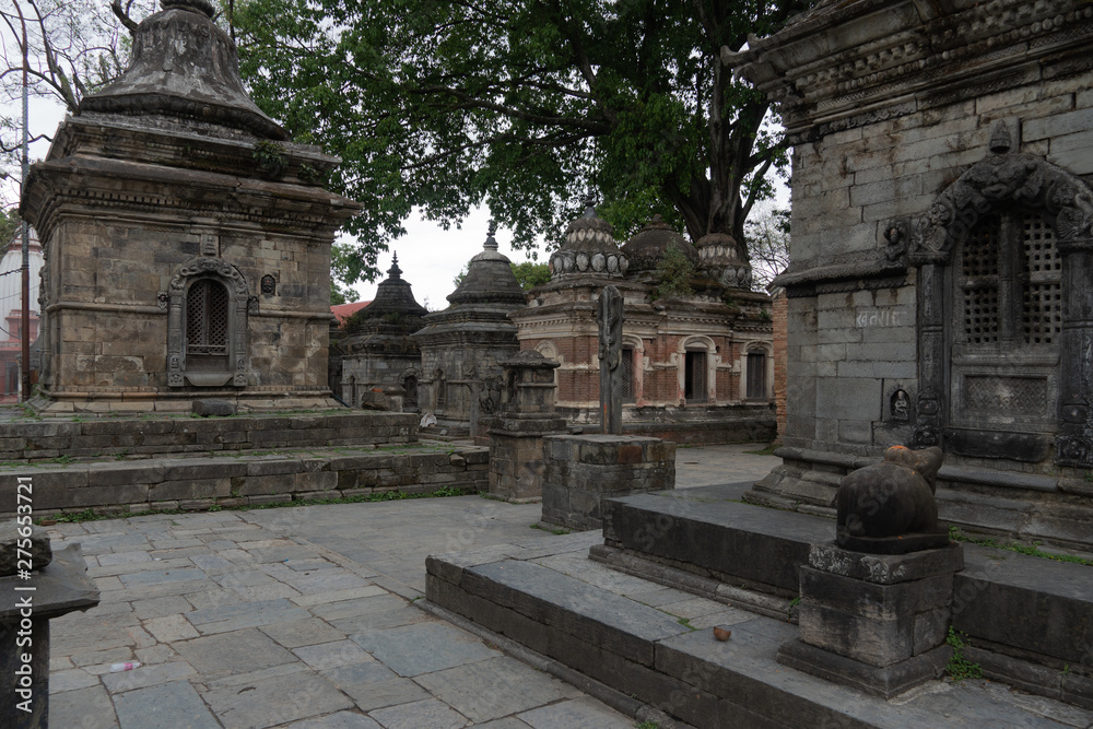 Votive temples and shrines in a row at Pashupatinath Temple