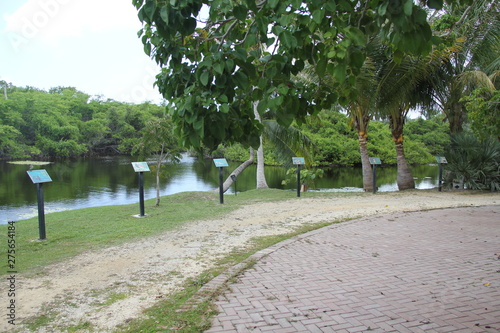 tropical island grand cayman beach summer