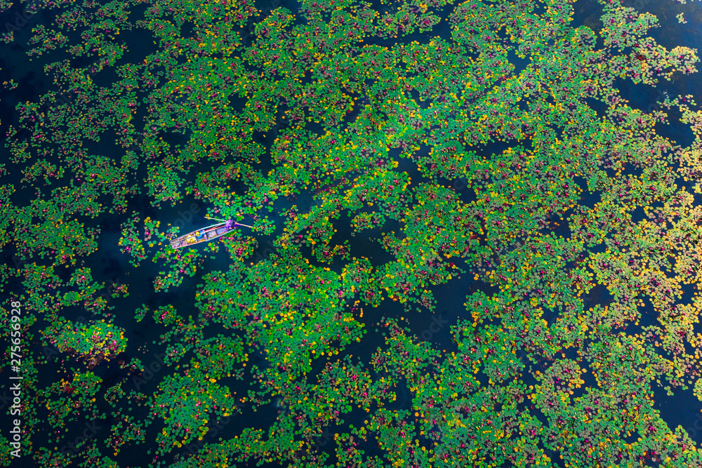 The sea of red lotus press angle, Lake Nong Harn, Udon Thani, Thailand The sea of red lotus press angle, Lake Nong Harn, Udon Thani, Thailand
