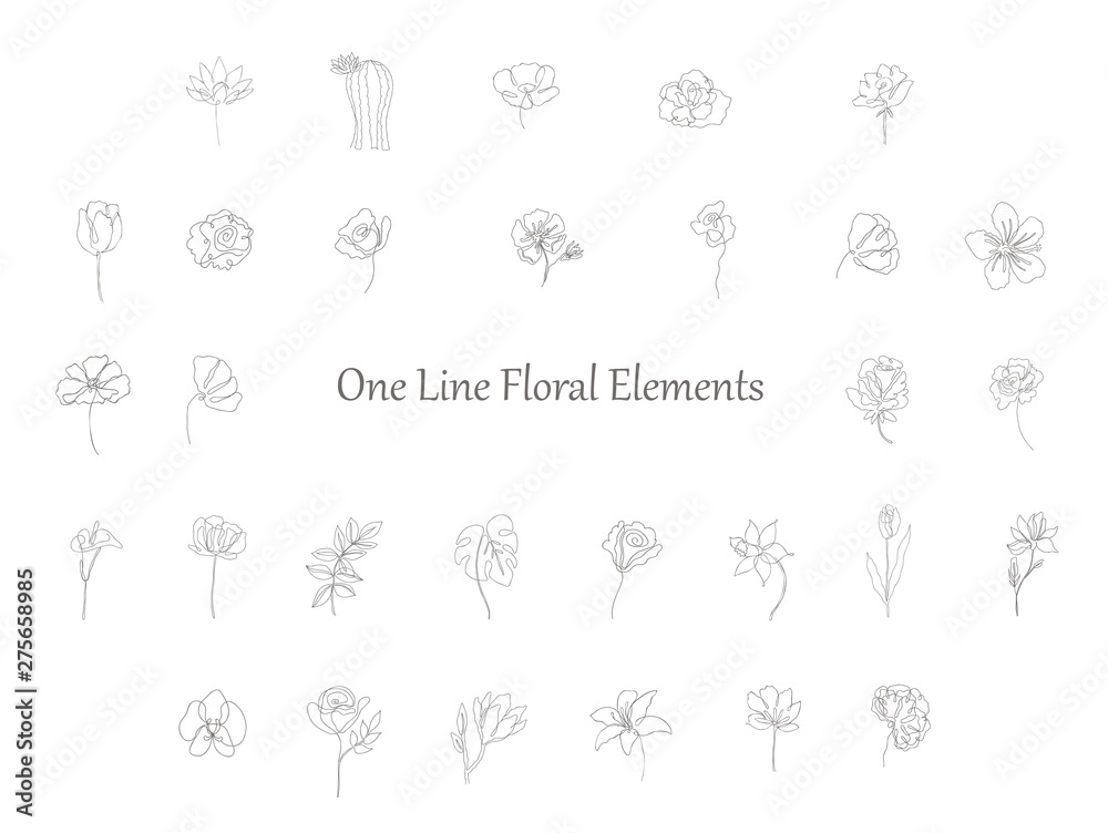 Set of floral design elements for logo.