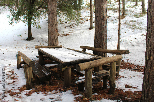 Wood bench in the mount Etna's park