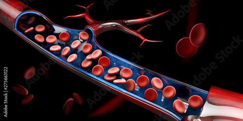 3d Illustration of red blood cells in vein