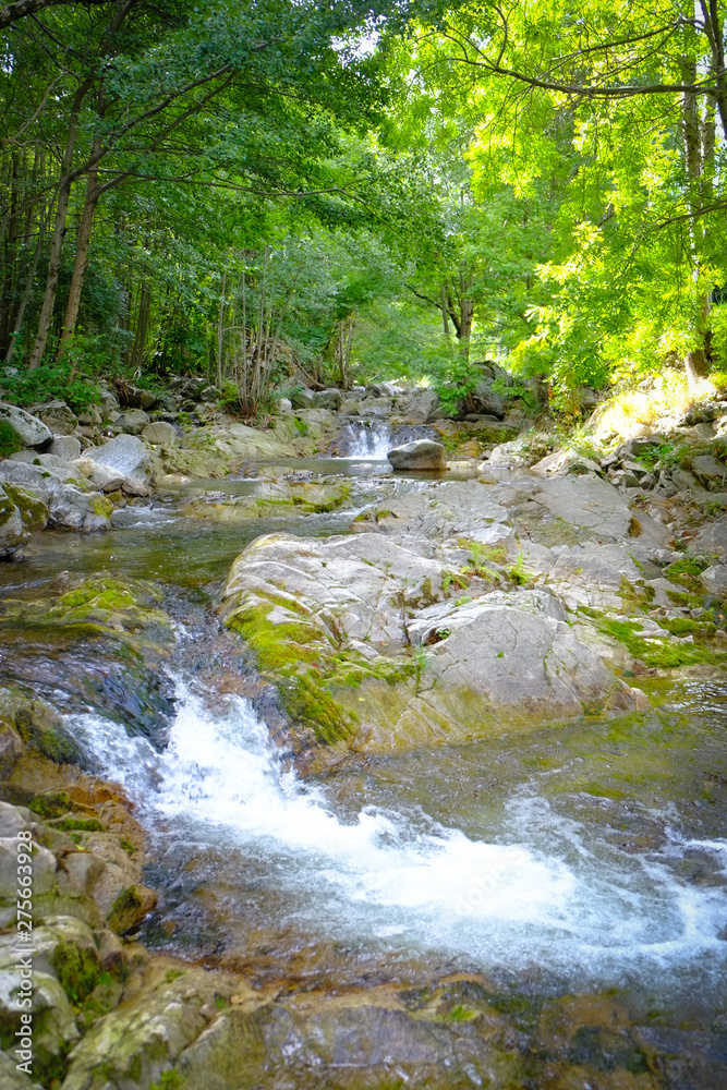 Water from a spring in the forests flowing down from the mountains in the Ardeche area in France Water from a spring in the forests flowing down from the mountains in the Ardeche area in France