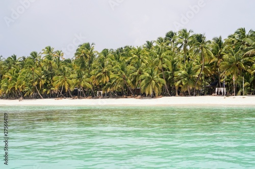 Palm trees on the Caribbean Sea on a beautiful beach and azure sea 