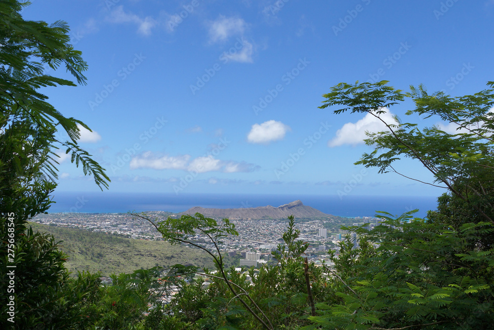 Mountain View of Diamondhead, Kapahulu, Kahala, Pacific ocean through the trees