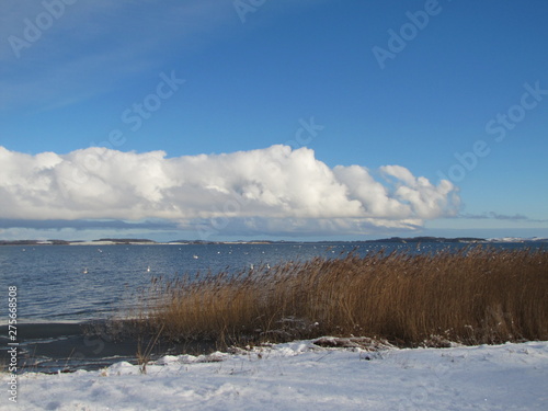 Snowy Shore of the Isle of Vilm in Germany