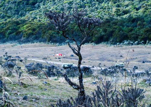 View of Mount Gede in Bogor, West Java, Indonesia.  photo