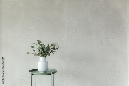 white vase and tree in white room studio , minimal style background and copy space . photo