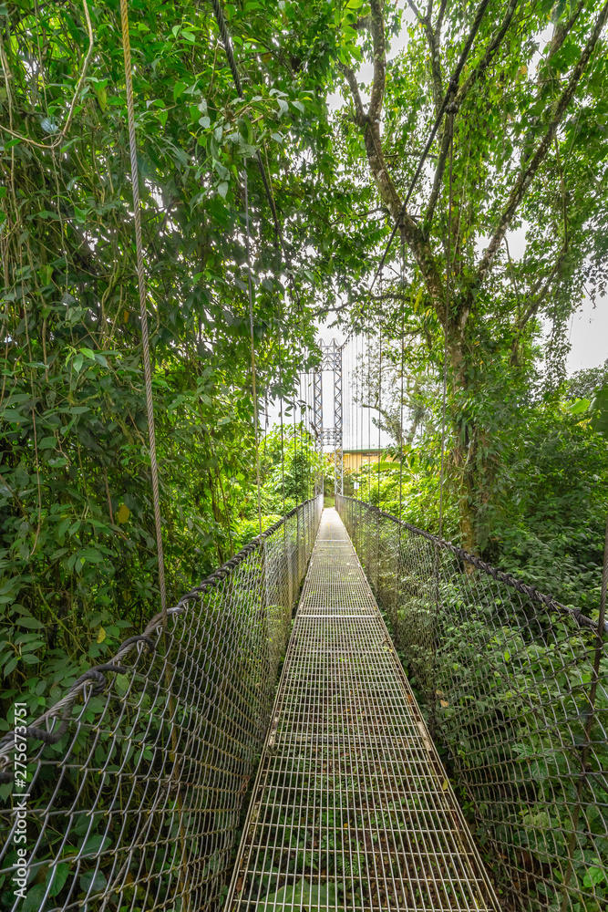 Fototapeta premium Looking to the end of the long rope bridge over the jungle canopy